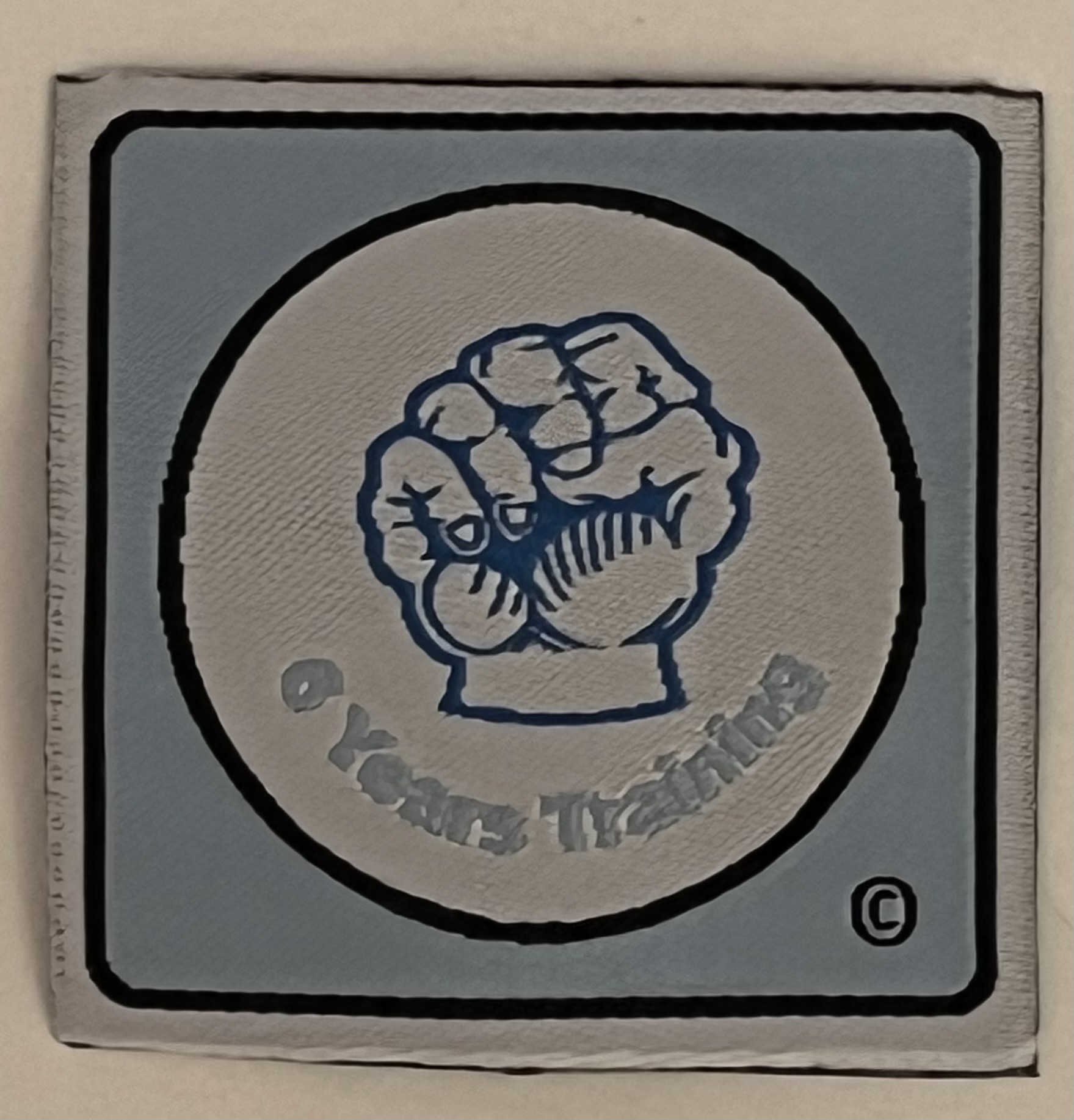 6 Years Training Badge